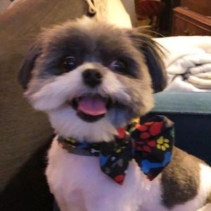 Meet your Posher, Kevin